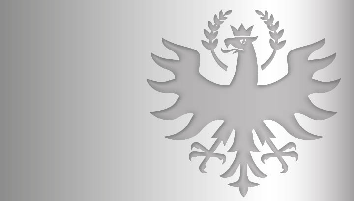 kooptierte Mitglieder